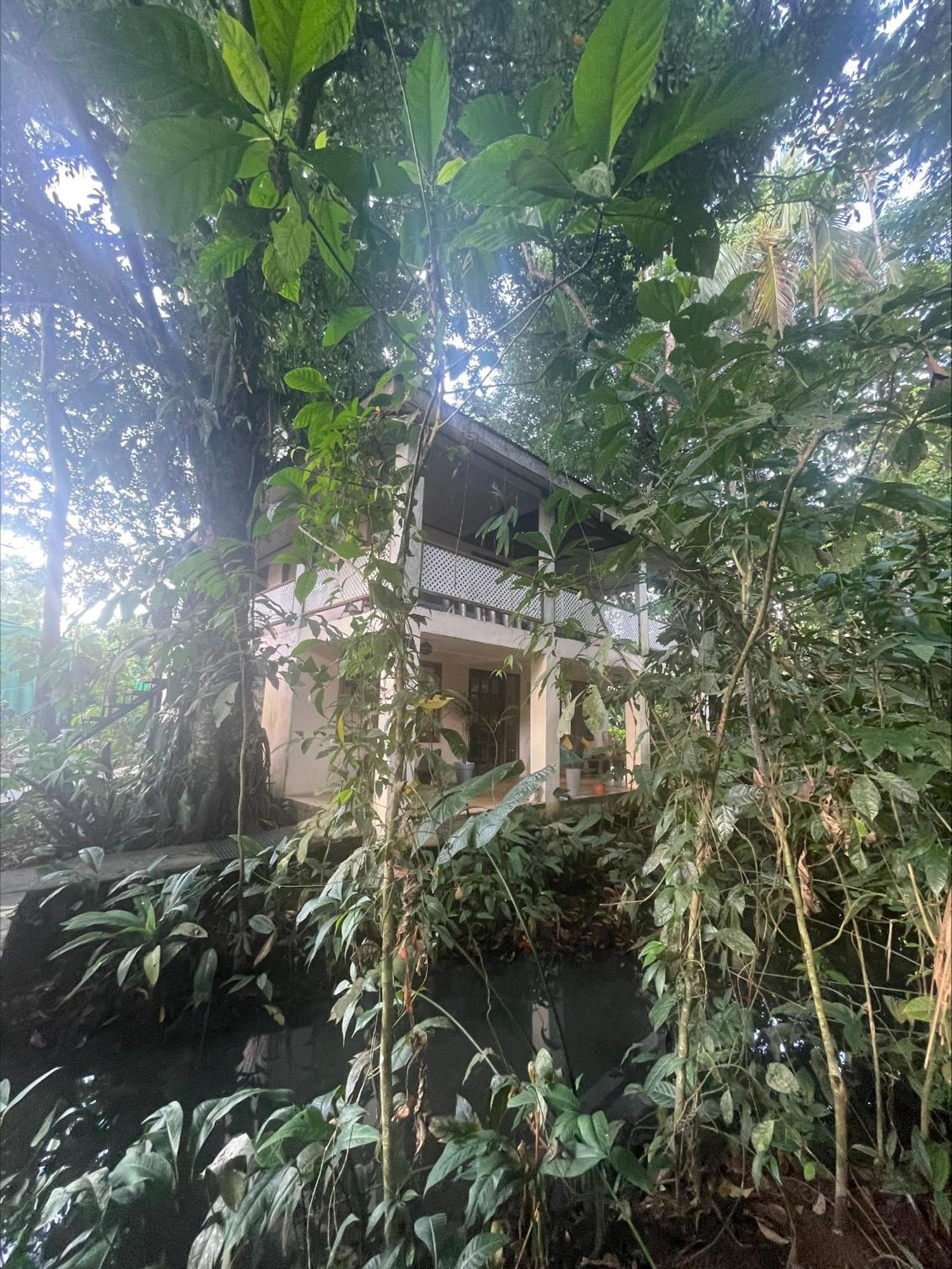 Casa Jaguar Tortuguero Villa Exterior photo