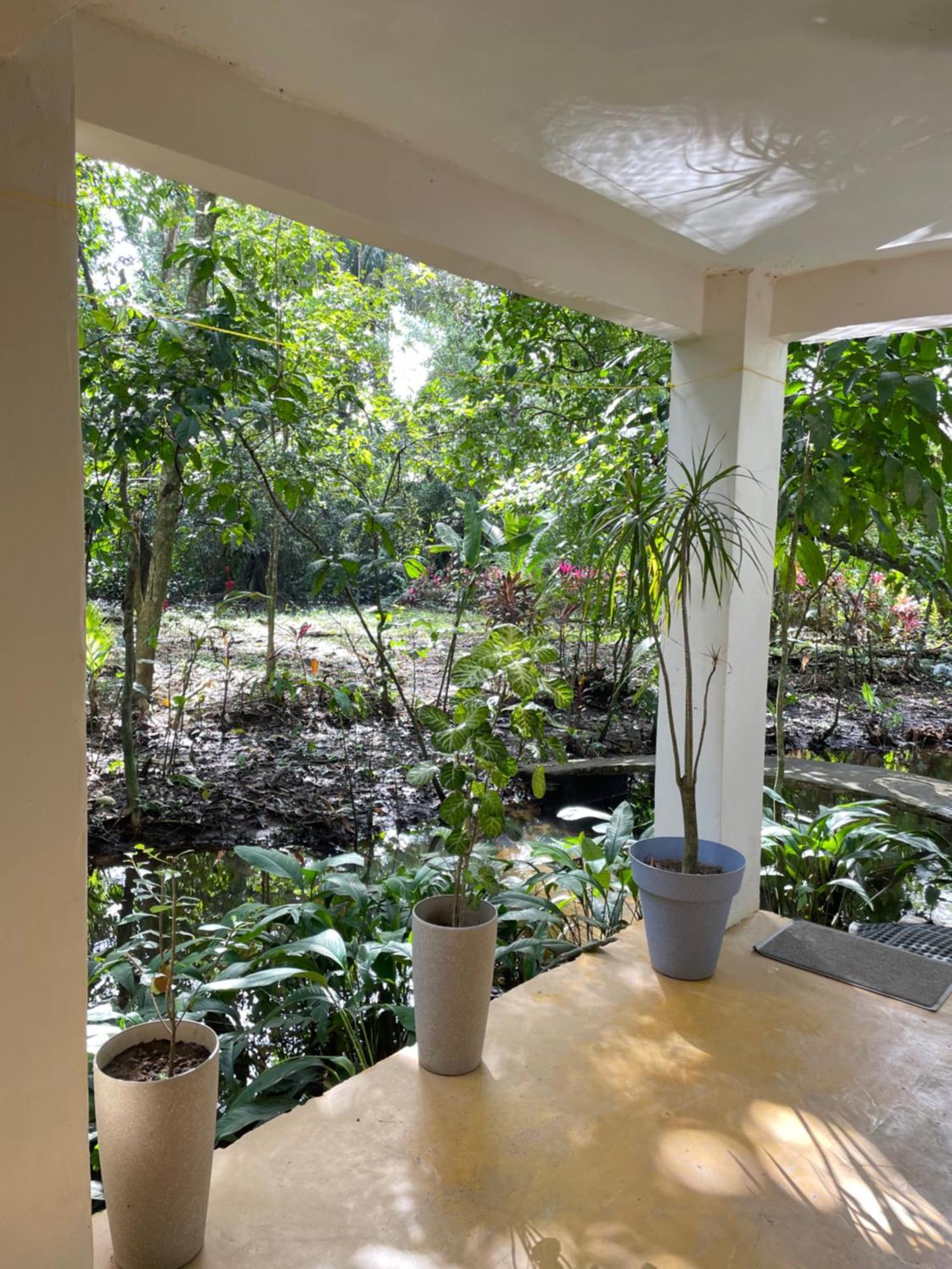 Casa Jaguar Tortuguero Villa Exterior photo